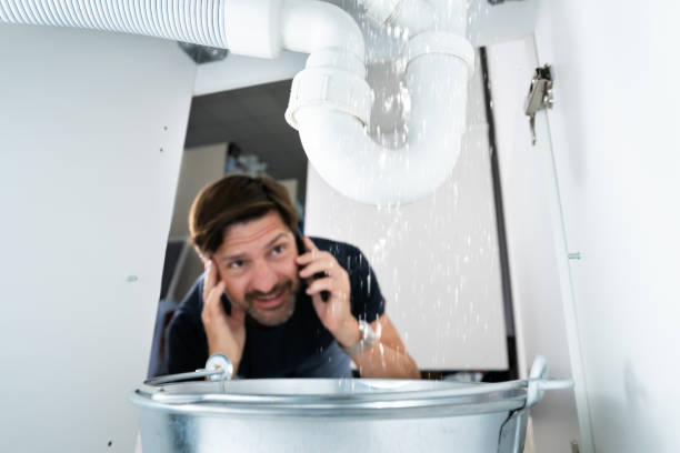 Best Local Plumber Services  in Fairbank, IA