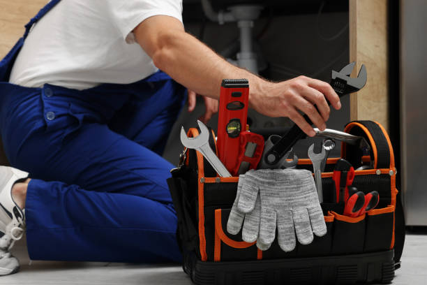 Best Clogged Drain Plumber  in Fairbank, IA